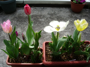 全体ショット 全体ショット