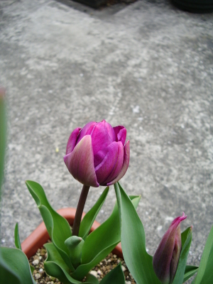 横ショット 横ショット